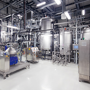 Signed MoU for joint venture in Mexico